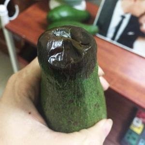  - Bơ 034 bị thối đầu, cách khắc phục bơ 034 bị thối đầu, bơ bị hư cuốn, bơ 034 bị thối cuốn, cách khắc phục bơ 034 bị thối đầu, bơ 034 bị sốc nhiệt, bán bơ 034 giá sỉ, bơ 034 giá sỉ