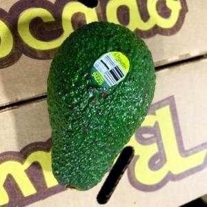  - trái bơ mỹ, thị trường bơ mỹ, quả bơ bị nhiễm khuẩn listeria